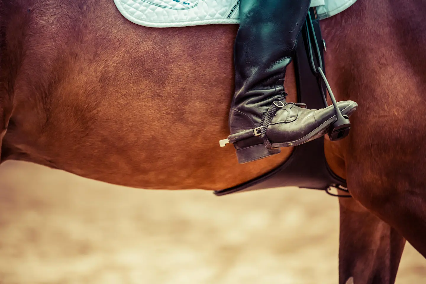 Botas femininas de montaria com preço acessível